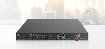  Quantum 28600 Hyperscale Maestro 专用安全网关